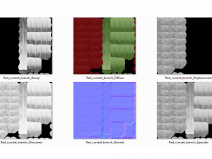 Red currant branch Model 3D