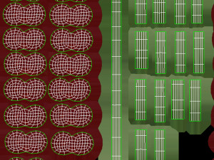 Red currant branch Model 3D