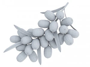 Sea-Buckthorn Branch 3D Model
