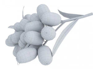 Sea-Buckthorn Branch 3D Model
