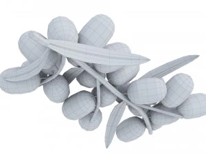 Sea-Buckthorn Branch 3D Model
