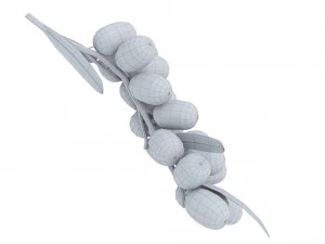 Sea-Buckthorn Branch 3D Model