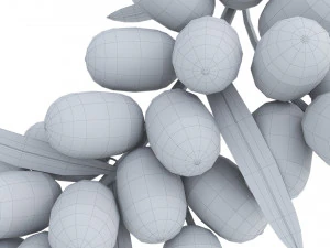Sea-Buckthorn Branch 3D Model