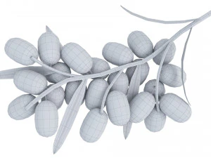 Sea-Buckthorn Branch 3D Model