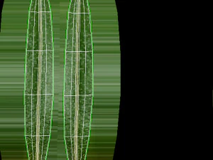 Sea-Buckthorn Branch 3D Model