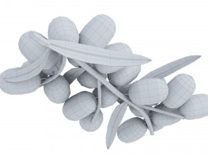 Berry branch collection 3D-Modell