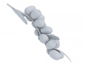 Berry branch collection 3D-Modell