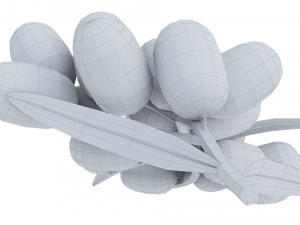 Berry branch collection 3D-Modell