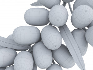 Berry branch collection 3D-Modell