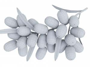 Berry branch collection 3D-Modell