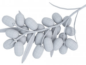 Berry branch collection 3D-Modell