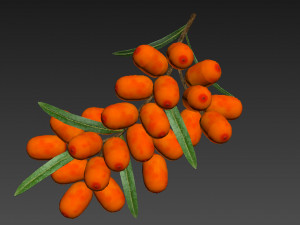 Berry branch collection 3D-Modell