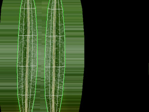 Berry branch collection 3D-Modell