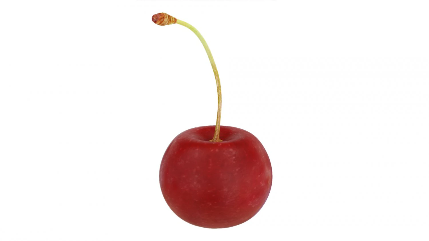 Red cherry 3D Model .c4d .max .obj .3ds .fbx .stl .blend 