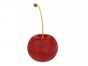 Red cherry 3D Model