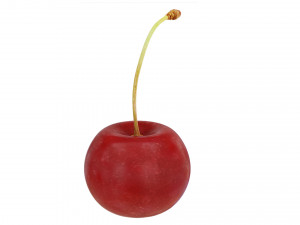 Red cherry Model 3D