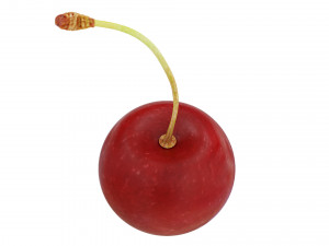 Red cherry Model 3D