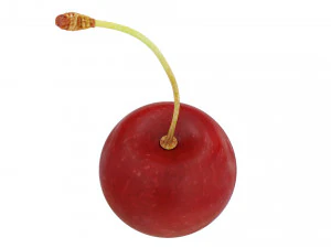 Red cherry 3D Model