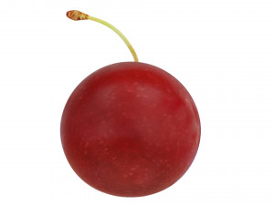 Red cherry Model 3D