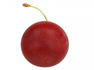Red cherry 3D Model
