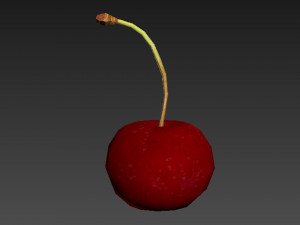 Red cherry Model 3D