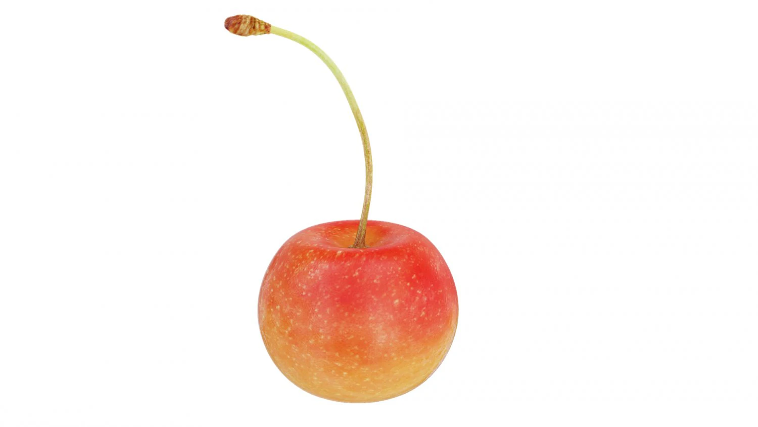 White cherry 3D Model .c4d .max .obj .3ds .fbx .stl .blend 