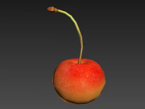 White cherry 3D Model