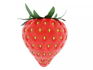 Erdbeere ganz 3D Modell