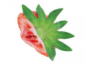 Strawberry half 3D Model