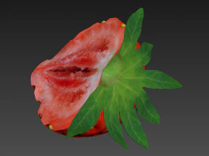 Strawberry half 3D Model
