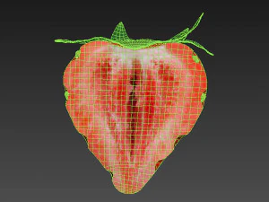 Strawberry half 3D Model