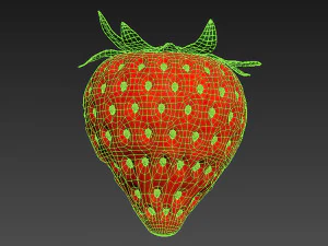 Strawberry half 3D Model