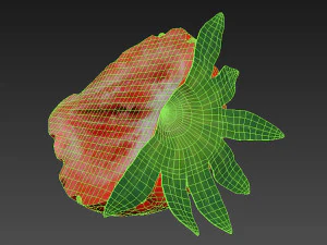 Strawberry half 3D Model