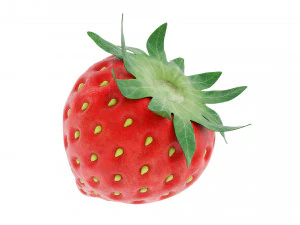 Strawberry Collection 3D Model