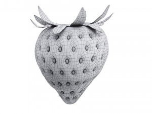 Strawberry Collection Modello 3D