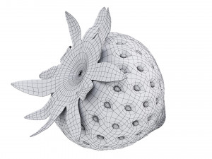 Strawberry Collection Modello 3D