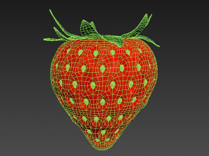 Strawberry Collection Modello 3D