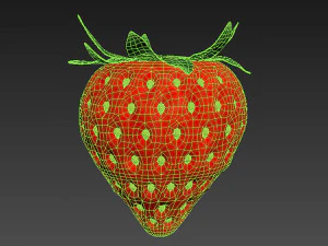 Strawberry Collection 3D Model