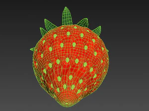 Strawberry Collection 3D Model