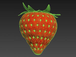 Strawberry Collection Modello 3D
