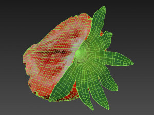 Strawberry Collection Modello 3D