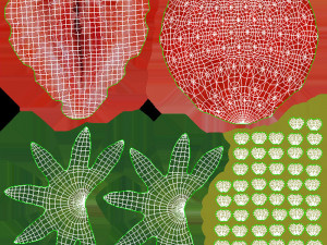 Strawberry Collection Modello 3D