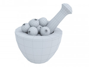 Blueberry Mortar and Pestle 3D 모델