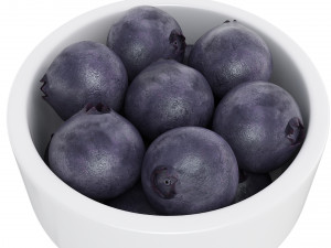 蓝莓白碗 3D 模型