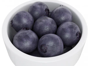 Blueberry white bowl 3D Model