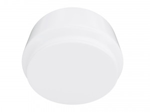 蓝莓白碗 3D 模型