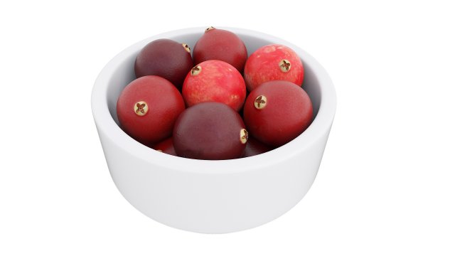 Cranberry white bowl Modèle 3D .c4d .max .obj .3ds .fbx .stl .blend 