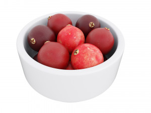 Cranberry white bowl Modèle 3D