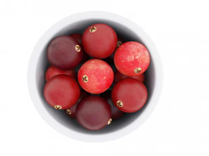 Cranberry white bowl 3D Model