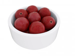 Mangkuk putih kismis merah Model 3D